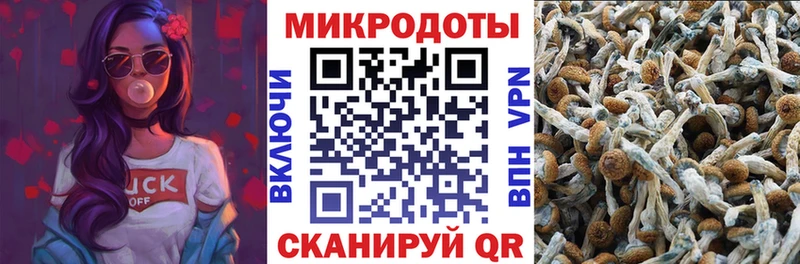 Купить  Старая Купавна  Галлюциногенные грибы мицелий 